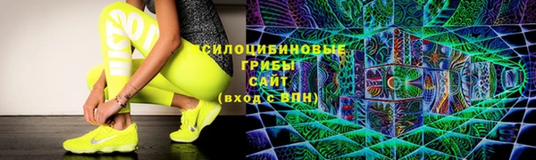 стафф Абинск